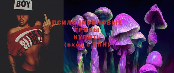 скорость Ельня