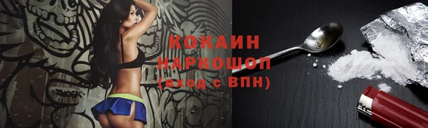 скорость Ельня