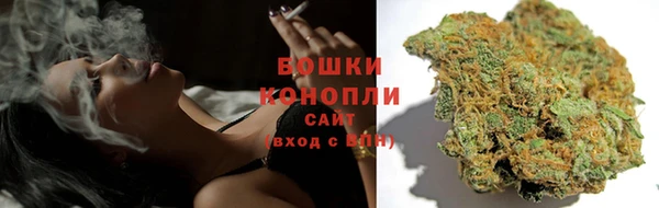 дурь Елизово