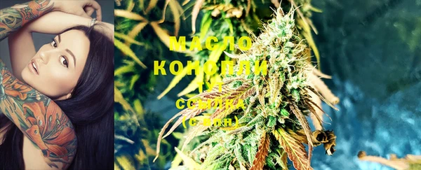 скорость Ельня