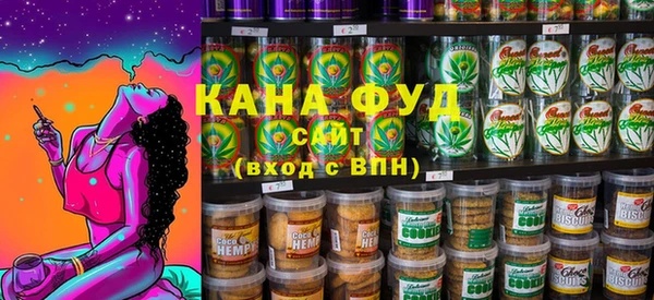 скорость Ельня