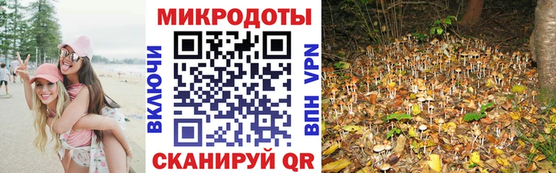 Галлюциногенные грибы мицелий  Афипский 